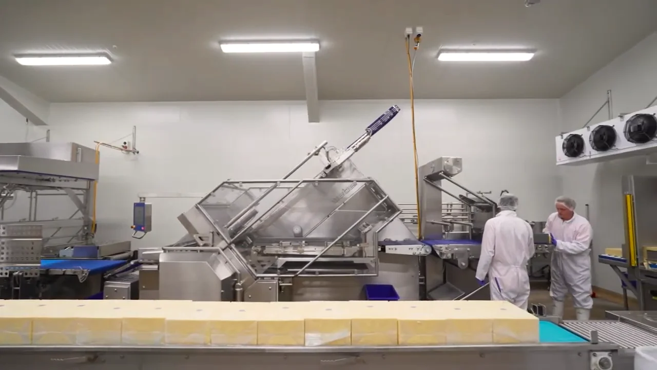 Staff working in the cheese cutting and wrapping facility