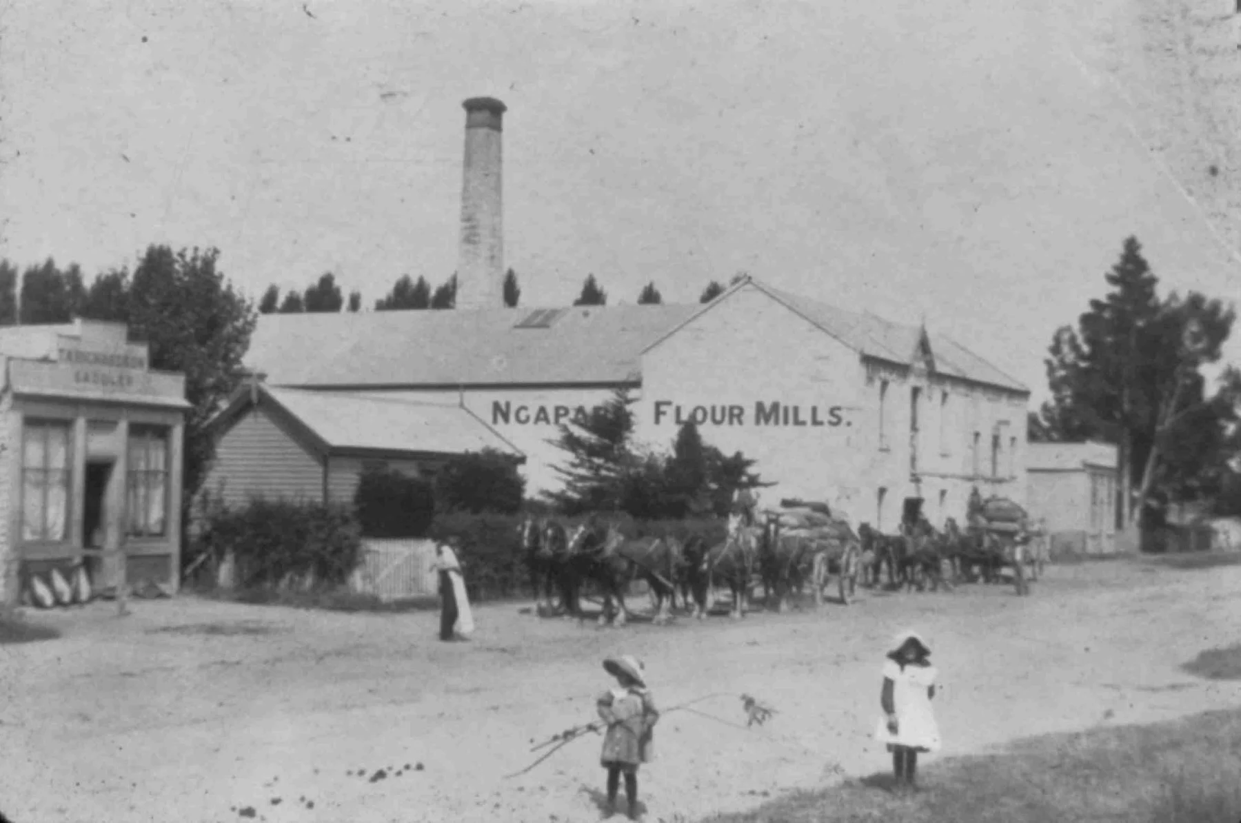 Ngapara mill, North Otago